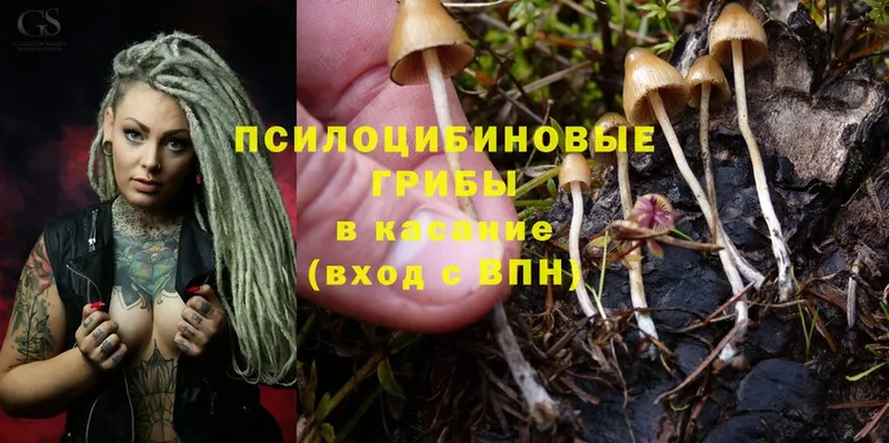 Галлюциногенные грибы Magic Shrooms  закладки  Лысьва 